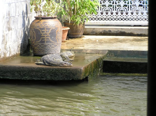 photo23.jpg