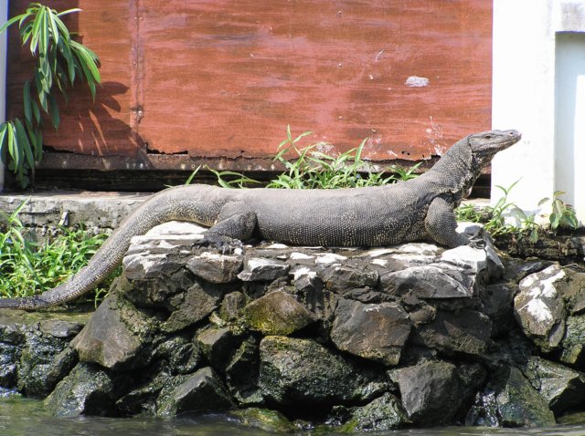 photo34.jpg