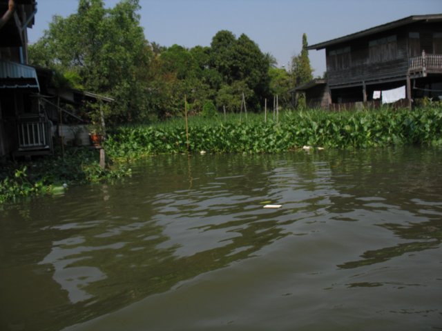 photo45.jpg