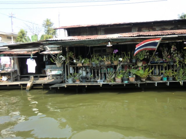 photo50.jpg
