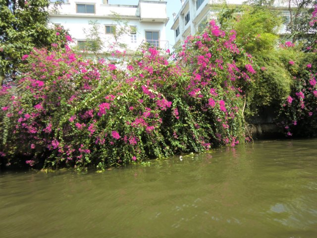 photo52.jpg
