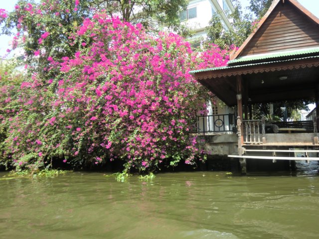 photo54.jpg