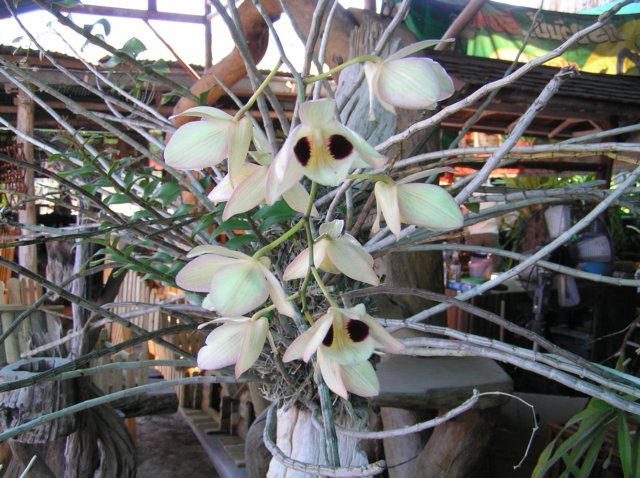 photo92.jpg