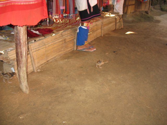 photo174.jpg