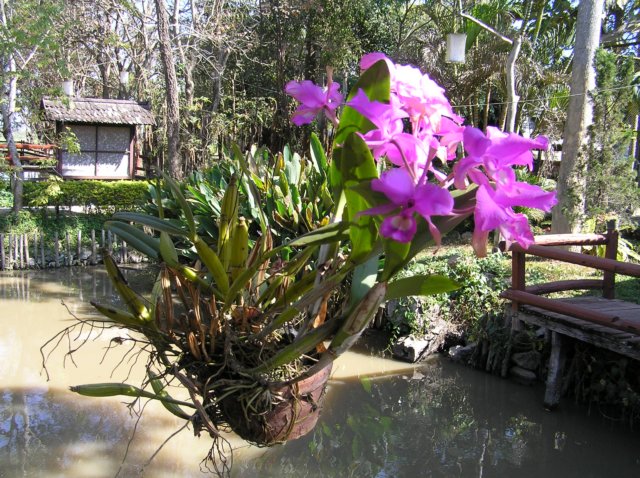 photo26.jpg