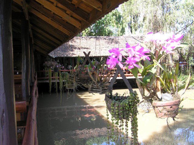 photo28.jpg