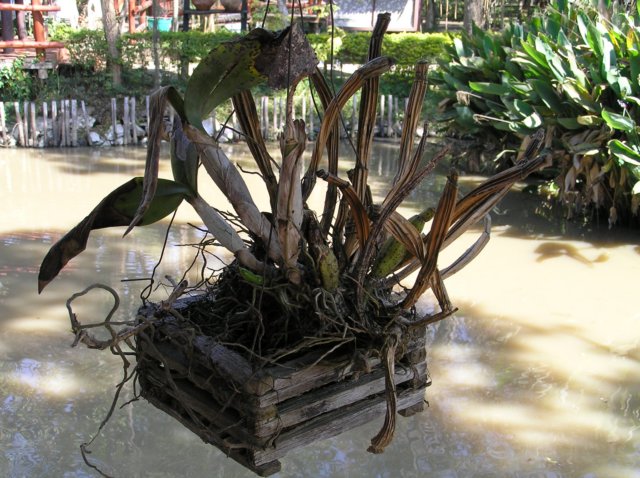 photo29.jpg