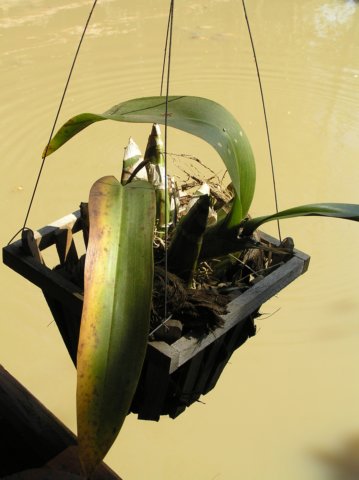 photo32.jpg