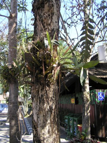 photo35.jpg