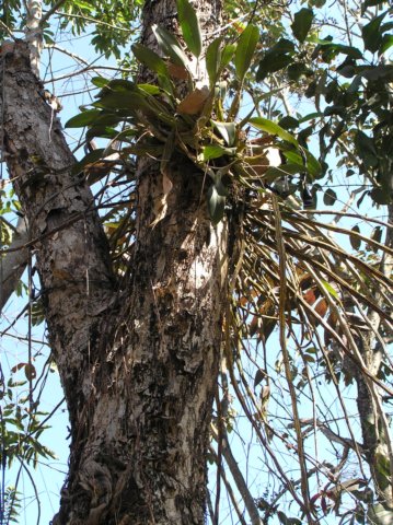 photo36.jpg