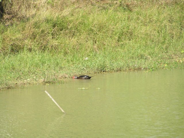 photo40.jpg