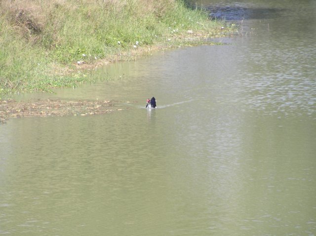 photo41.jpg