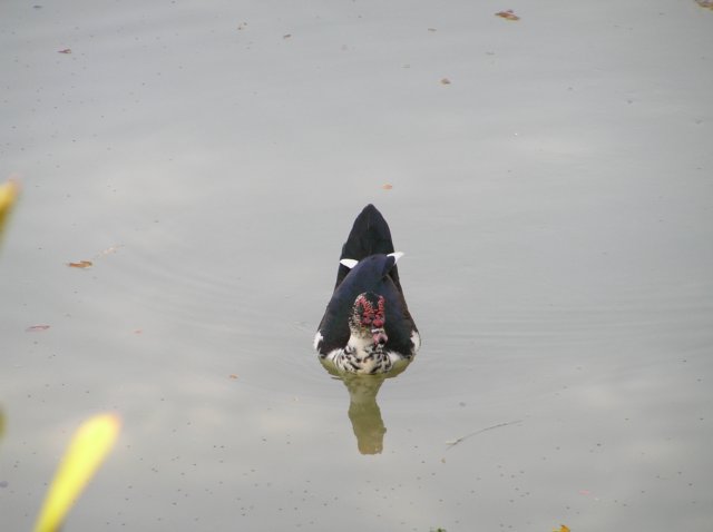 photo43.jpg