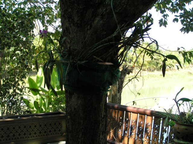 photo45.jpg