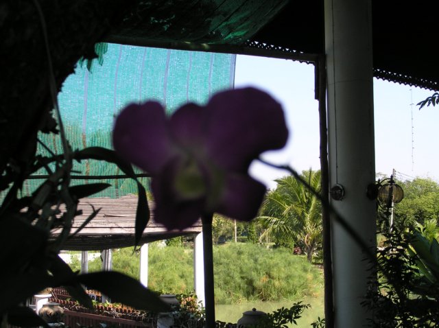photo47.jpg