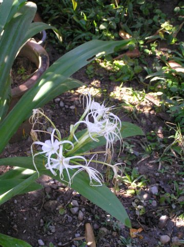 photo50.jpg
