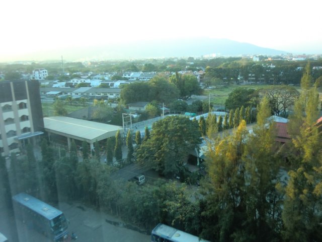 photo85.jpg