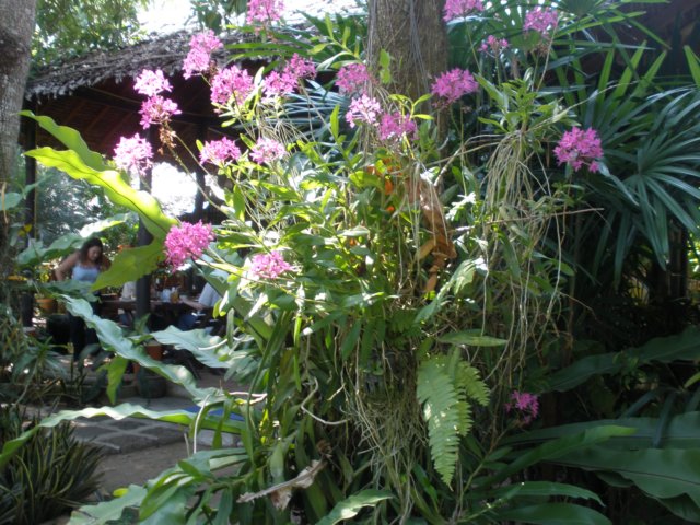 photo158.jpg