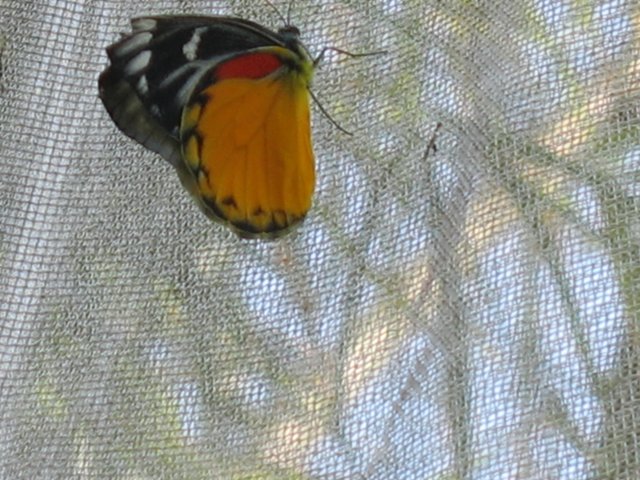 photo93.jpg