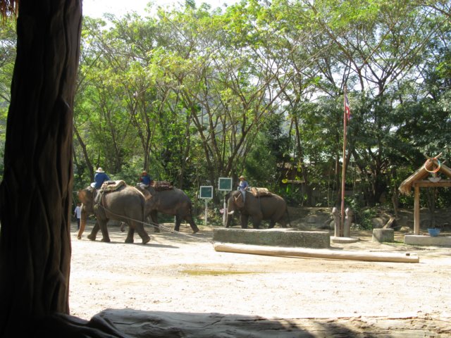 photo75.jpg