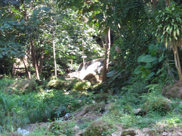 photo71.jpg