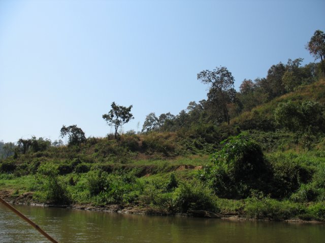 photo89.jpg