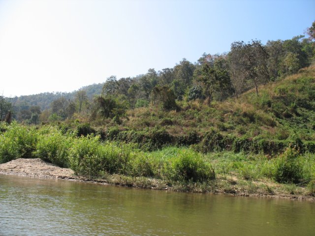 photo92.jpg