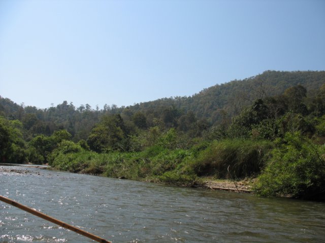photo96.jpg