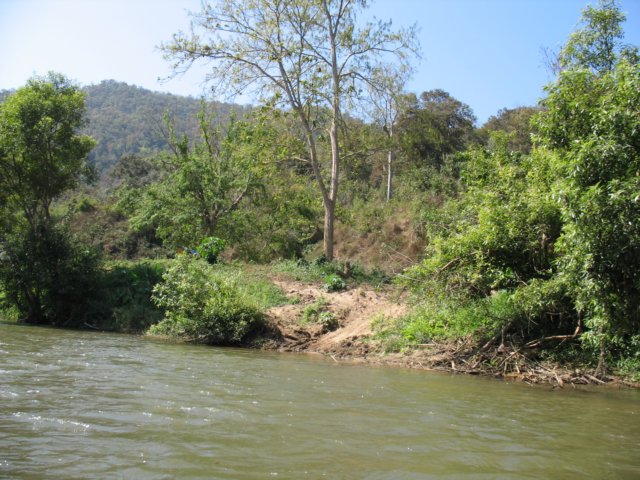 photo99.jpg