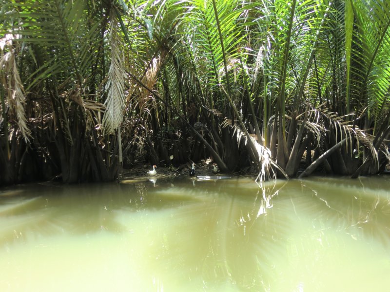 photo22.jpg