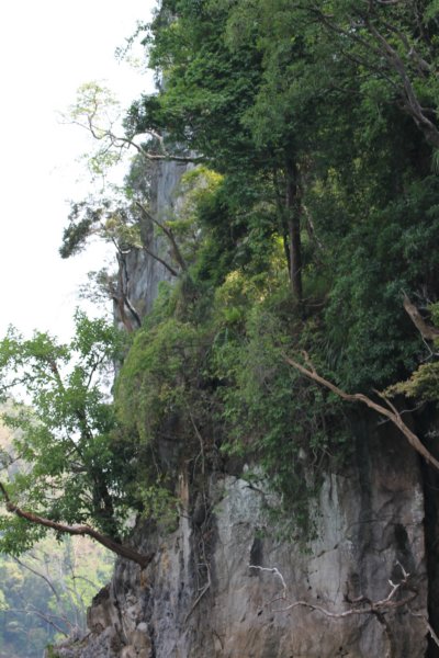photo46.jpg