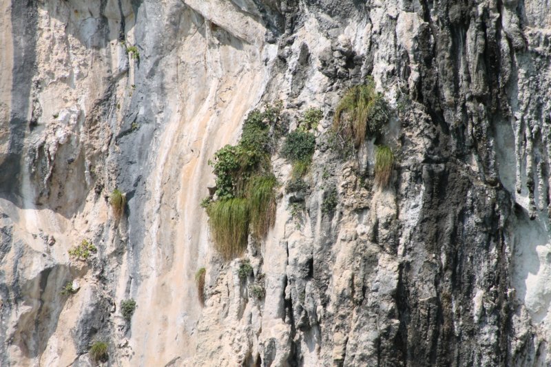 photo55.jpg