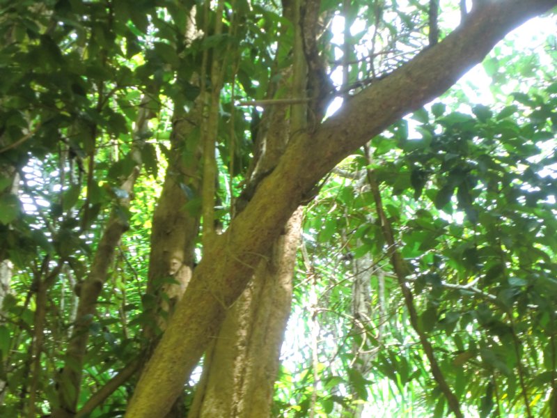 photo23.jpg