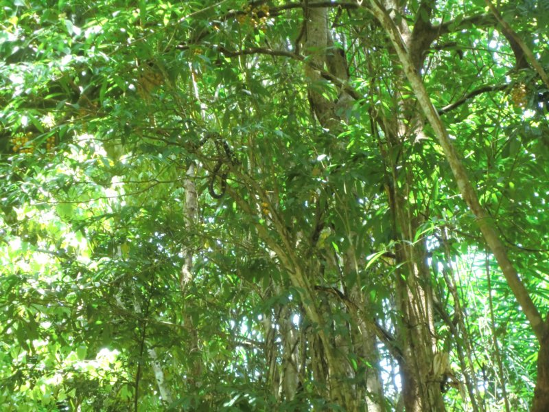 photo26.jpg