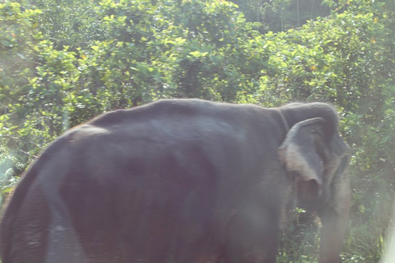 photo66.jpg