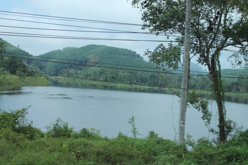 photo81.jpg