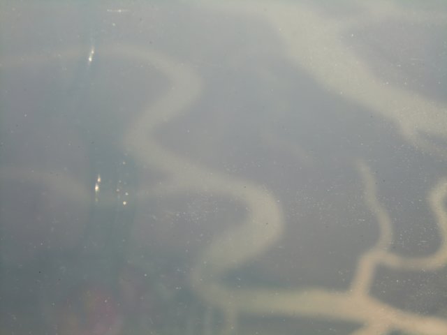 photo31.jpg