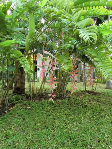 photo22.jpg