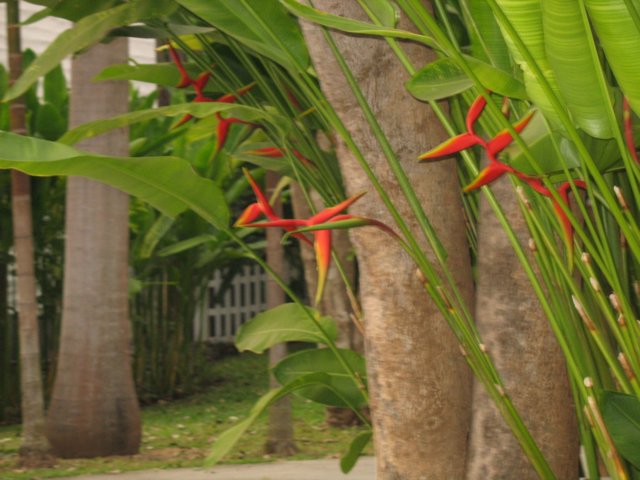 photo25.jpg