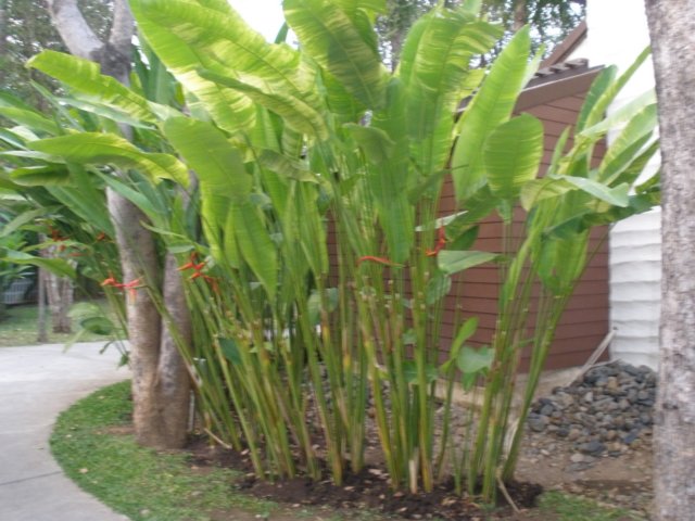 photo30.jpg