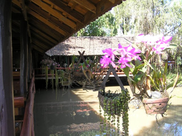 photo27.jpg