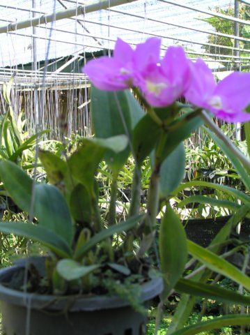 photo157.jpg