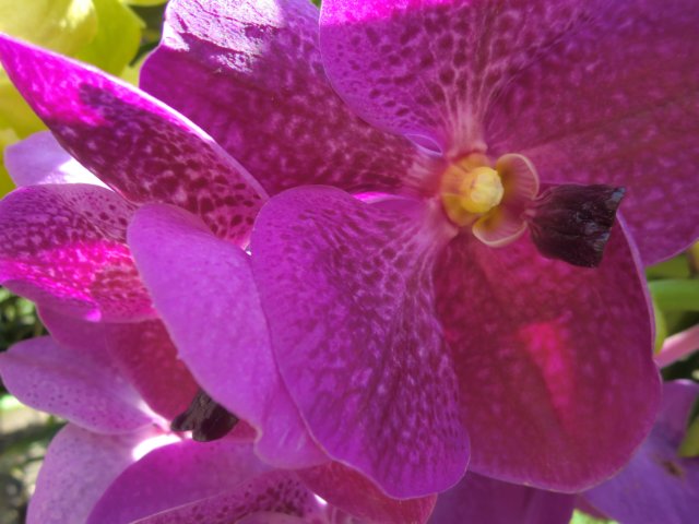 photo38.jpg