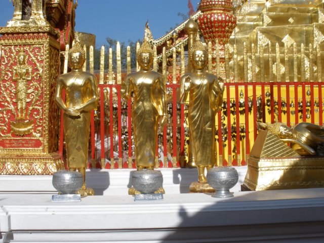 photo113.jpg