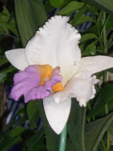 photo143.jpg
