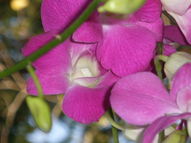 photo149.jpg