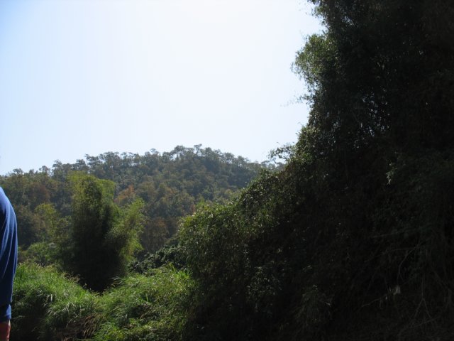 photo140.jpg
