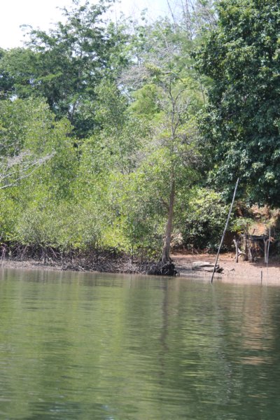 photo193.jpg