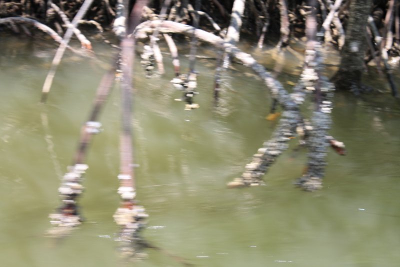photo203.jpg