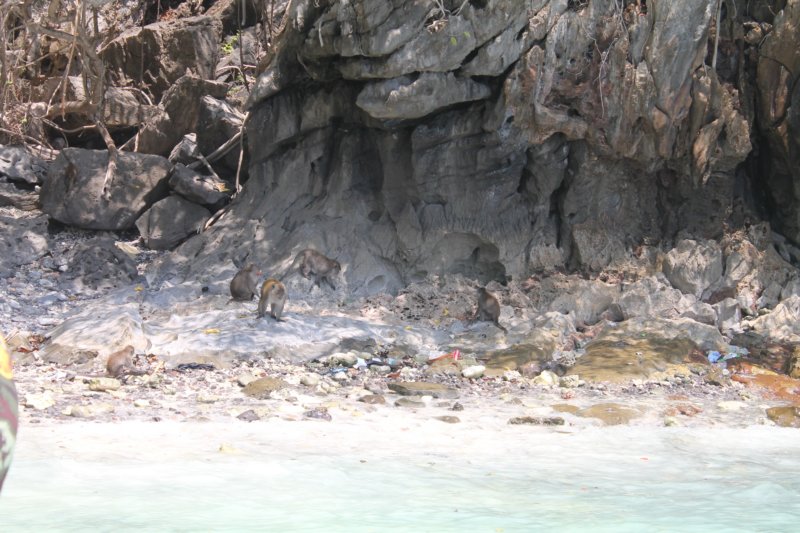 photo65.jpg